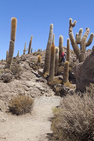 Uyuni 080.jpg